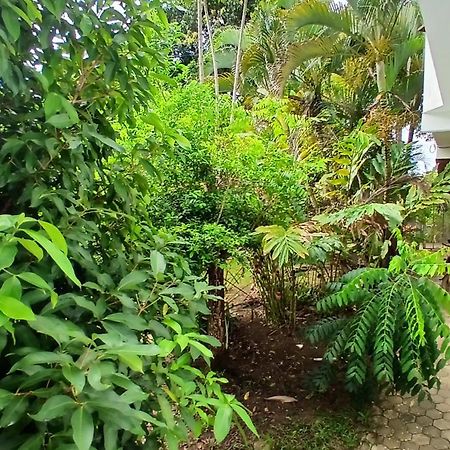 Casa Dos Matos Jeribucacu 호텔 이타카레 외부 사진