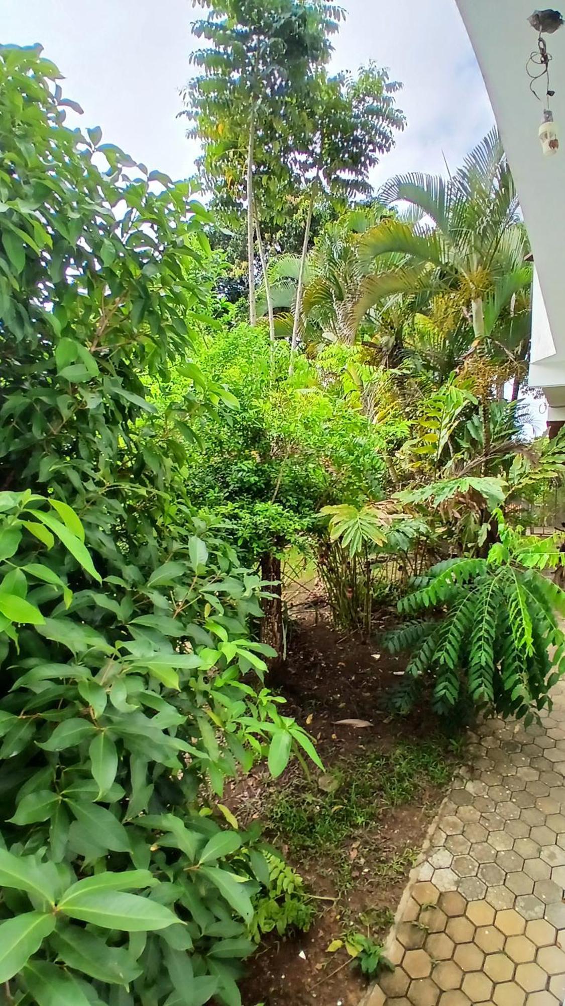 Casa Dos Matos Jeribucacu 호텔 이타카레 외부 사진