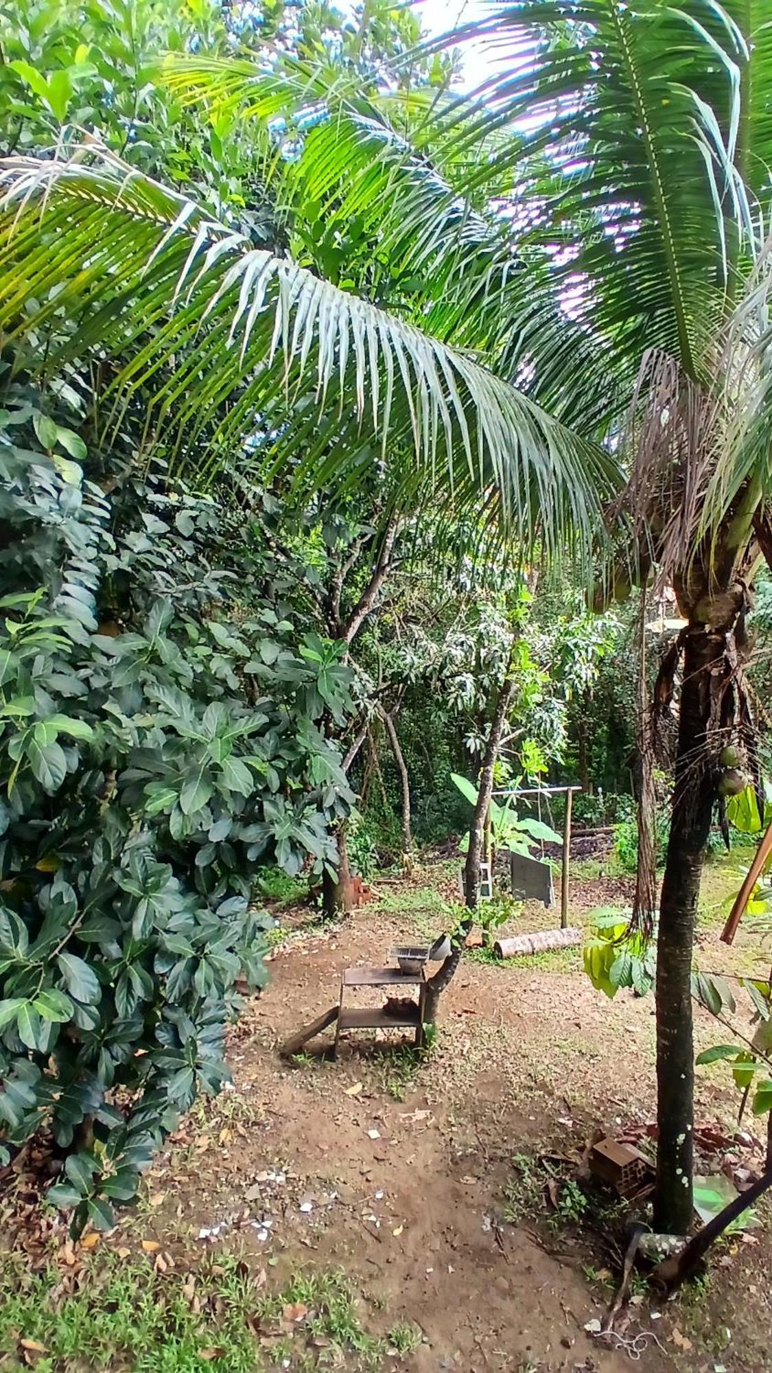 Casa Dos Matos Jeribucacu 호텔 이타카레 외부 사진